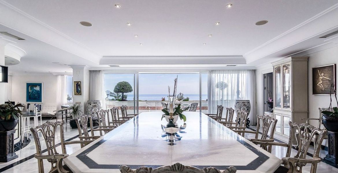 Penthouse Gray D’Albion 
