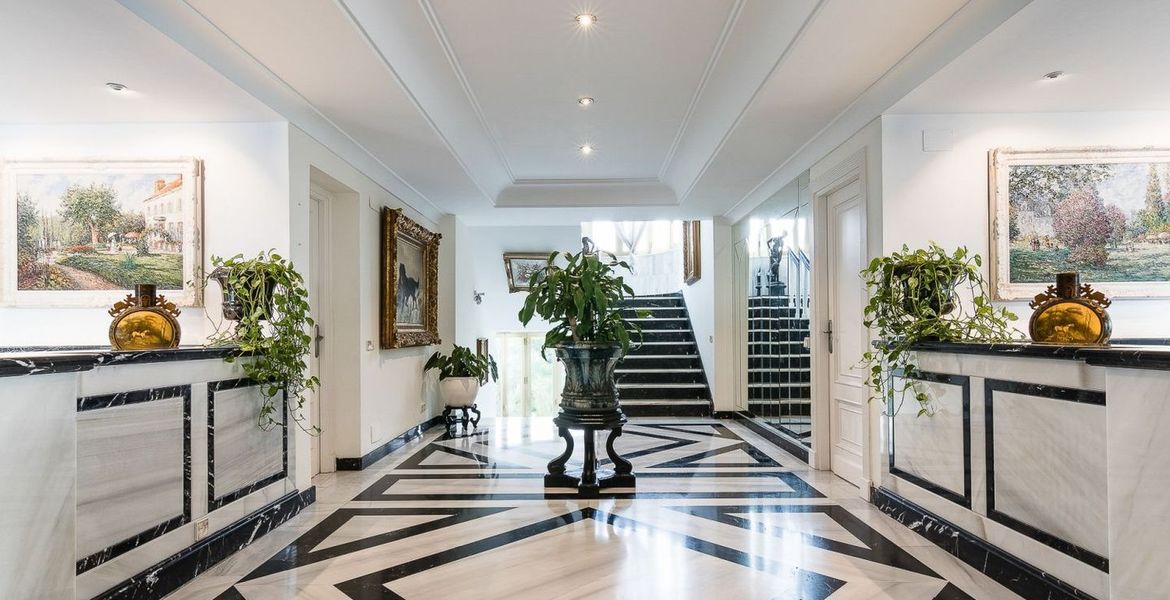 Penthouse Gray D’Albion 
