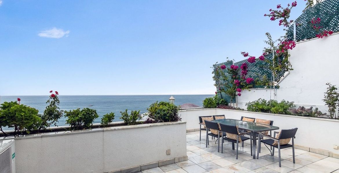 Penthouse Gray D’Albion 