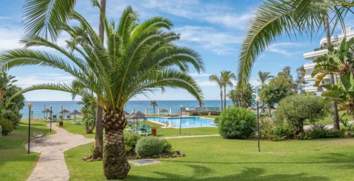 Alquiler de apartamento en playa esmeralda