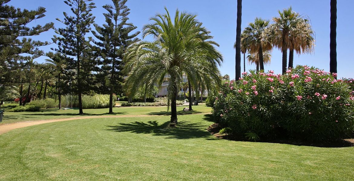Appartement Playas del Duque