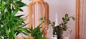 Аренда квартир на первой линии пляжа Марблеья 