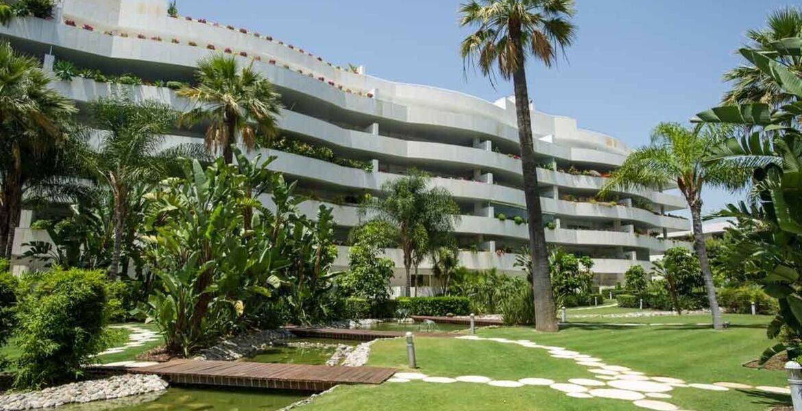 Apartamento en alquiler en Embrujo Banús