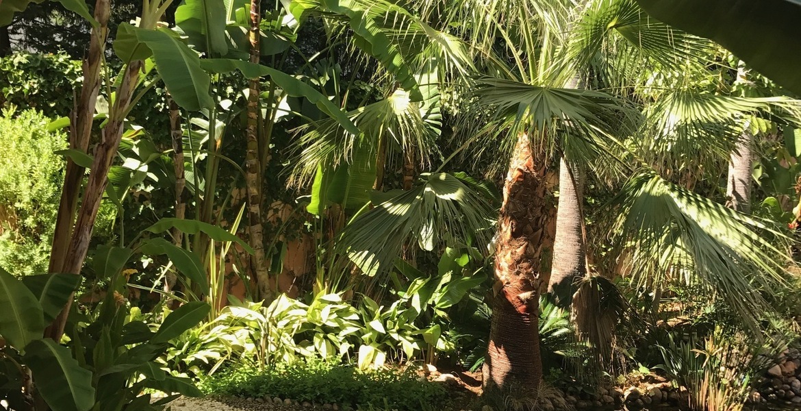 VILLA DE LUJO EN MARBELLA  