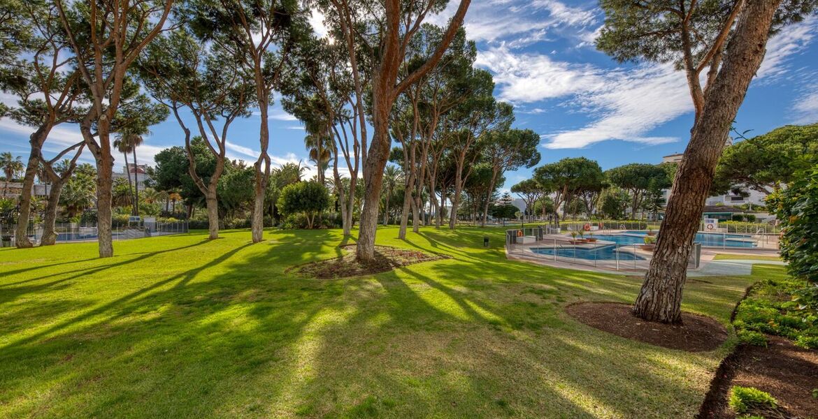 Apartment for rent in Playa del Duque