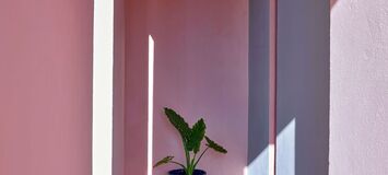 Villa for rent in Ibiza