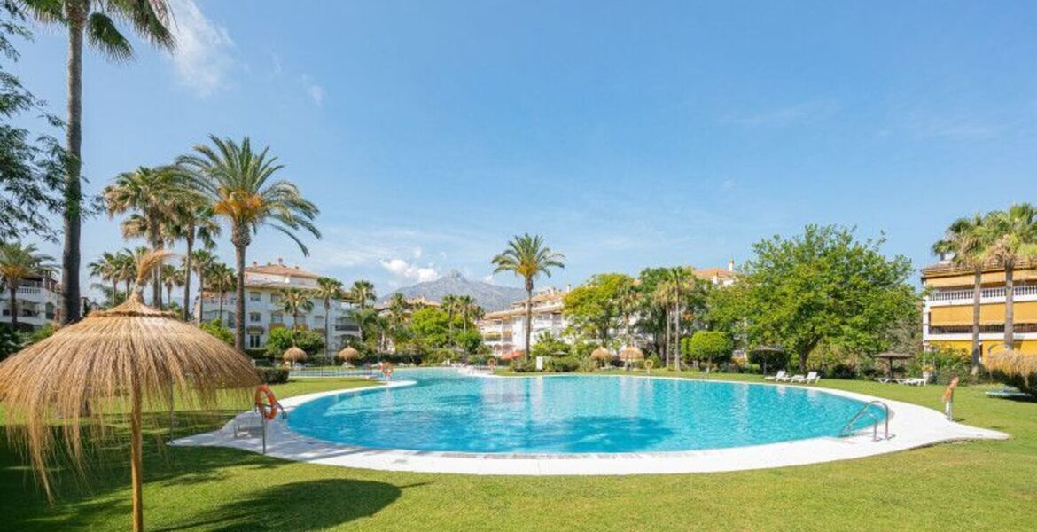 Luxury Penthouse in Nueva Andalucia