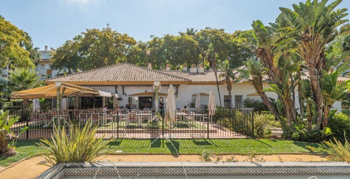 Luxury Penthouse in Nueva Andalucia