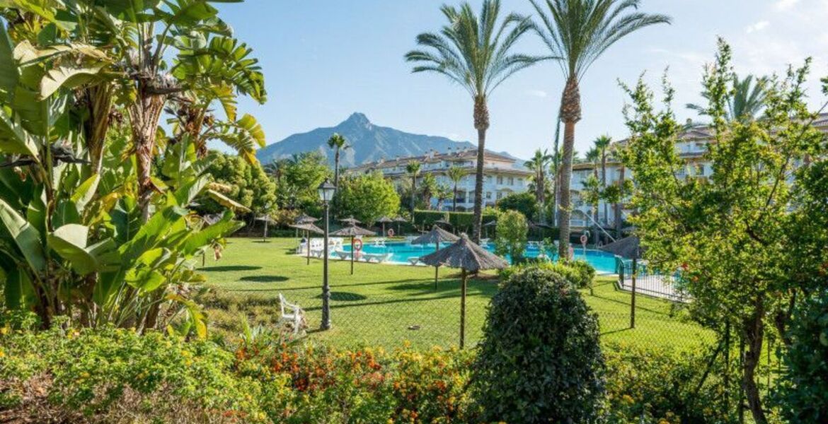 Luxury Penthouse in Nueva Andalucia