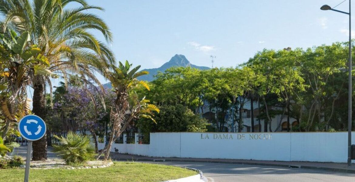 Luxury Penthouse in Nueva Andalucia