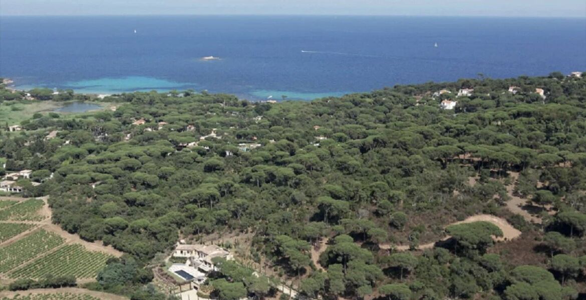 Villa de luxe à Saint Tropez