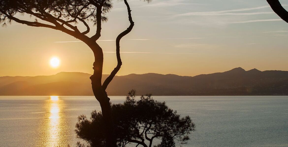 Villa de luxe à Saint Tropez