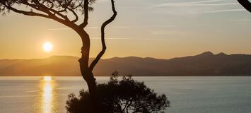 Villa de luxe à Saint Tropez