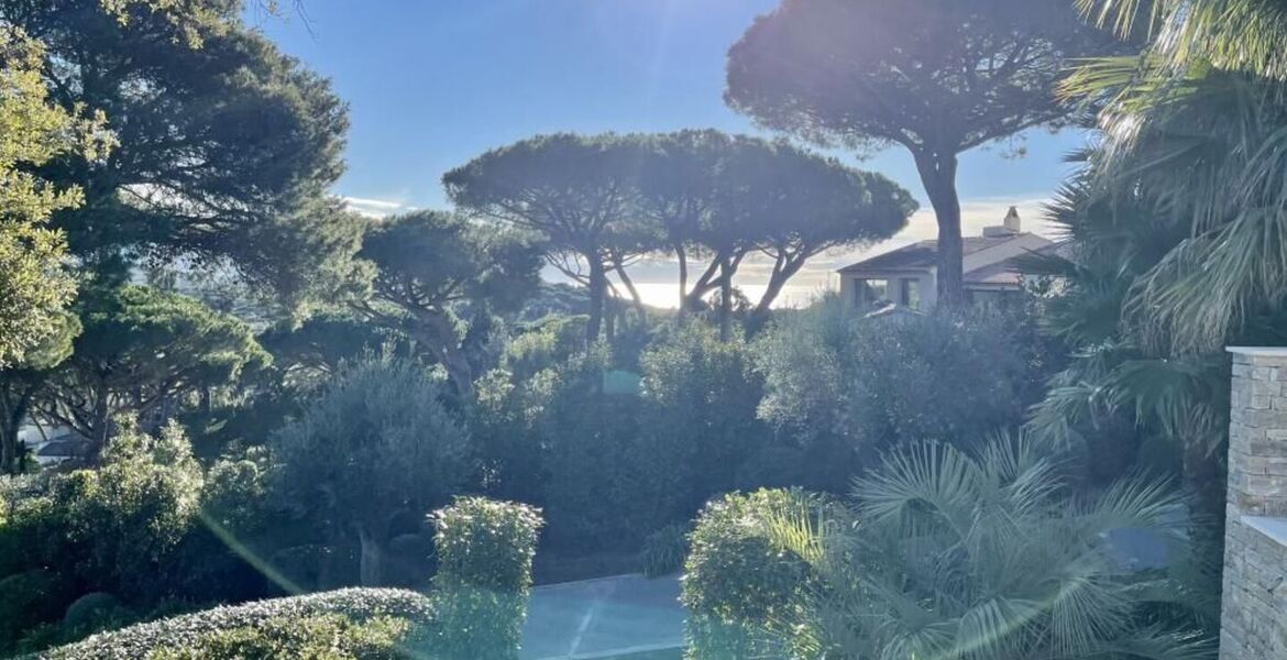 Villa de luxe à Saint Tropez