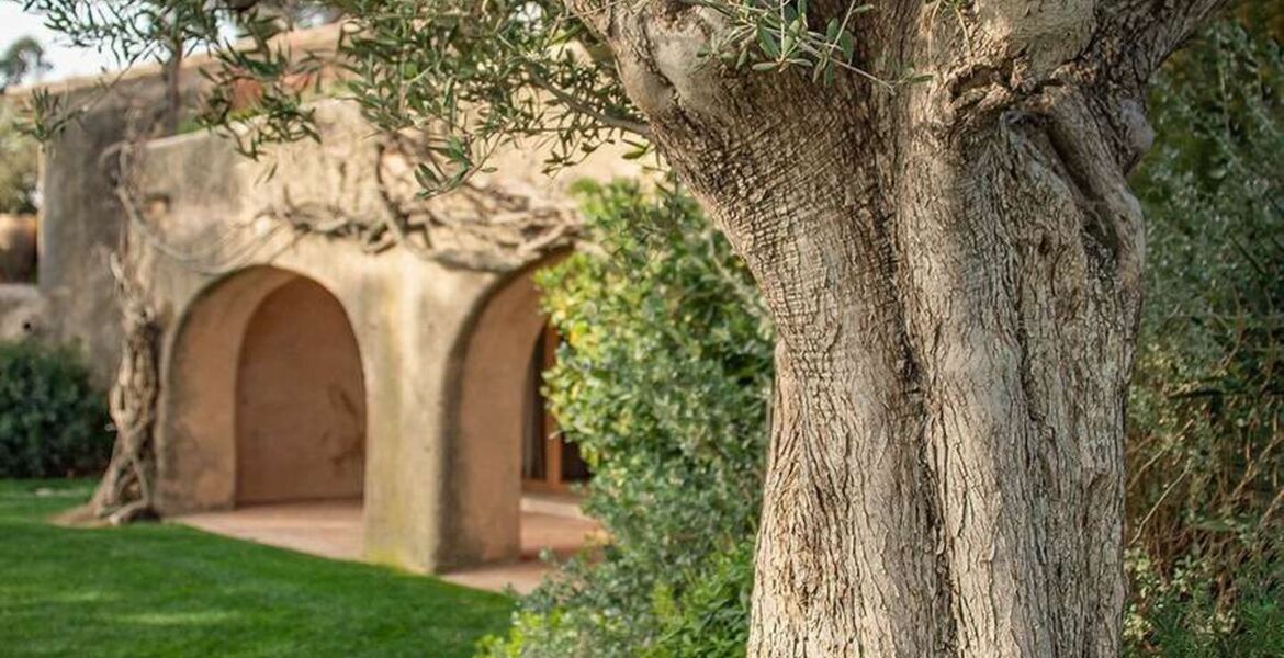 Luxury villa in Saint Tropez