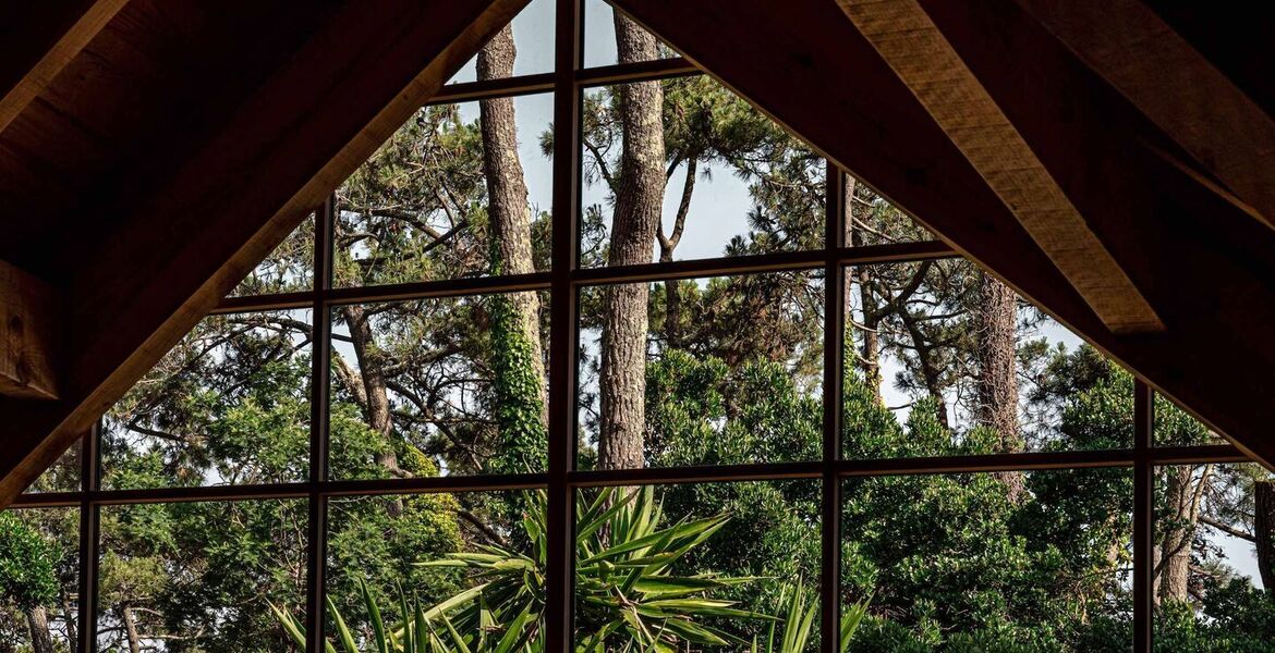 Villa de Luxe à Lège-Cap-Ferret