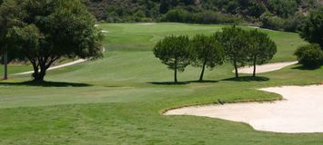 Profitez d'un incroyable parcours de golf à Santa Clara