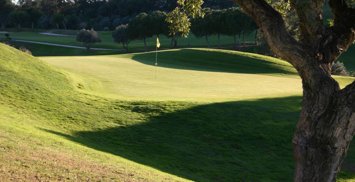 Profitez d'un incroyable parcours de golf à Santa Clara