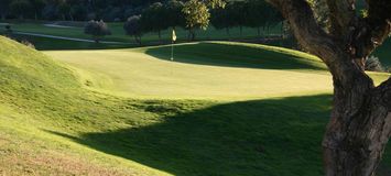 Profitez d'un incroyable parcours de golf à Santa Clara