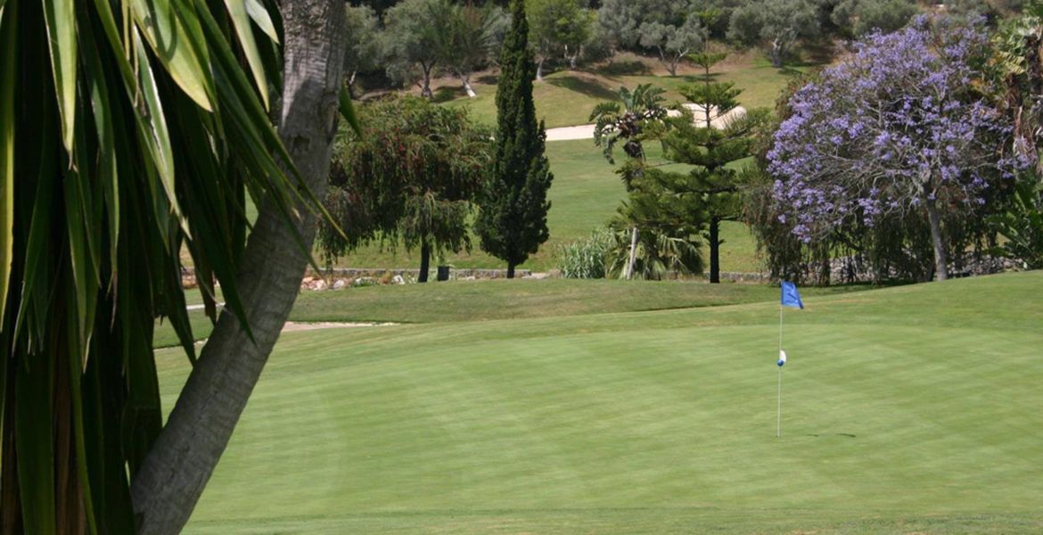 Profitez d'un incroyable parcours de golf à Santa Clara