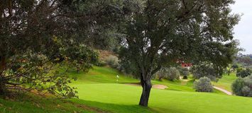 Profitez d'un incroyable parcours de golf à Santa Clara